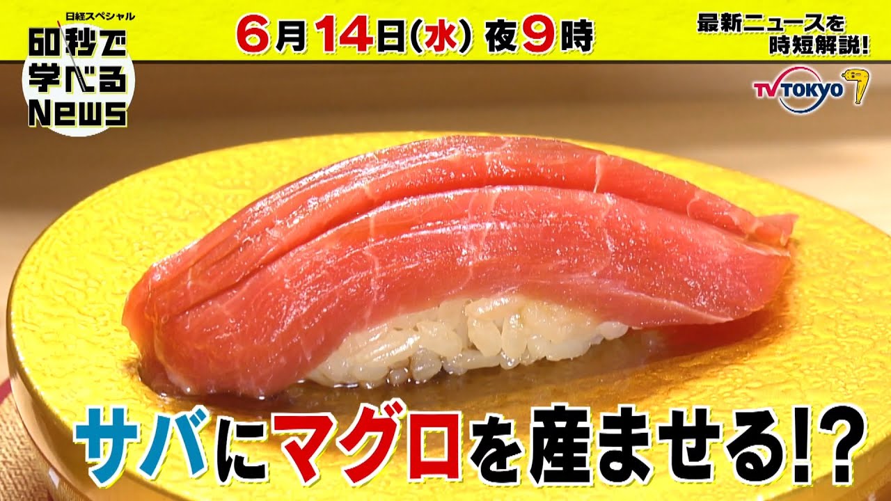「日経スペシャル 60秒で学べるNews」6月14日（水）夜9時放送（予告）