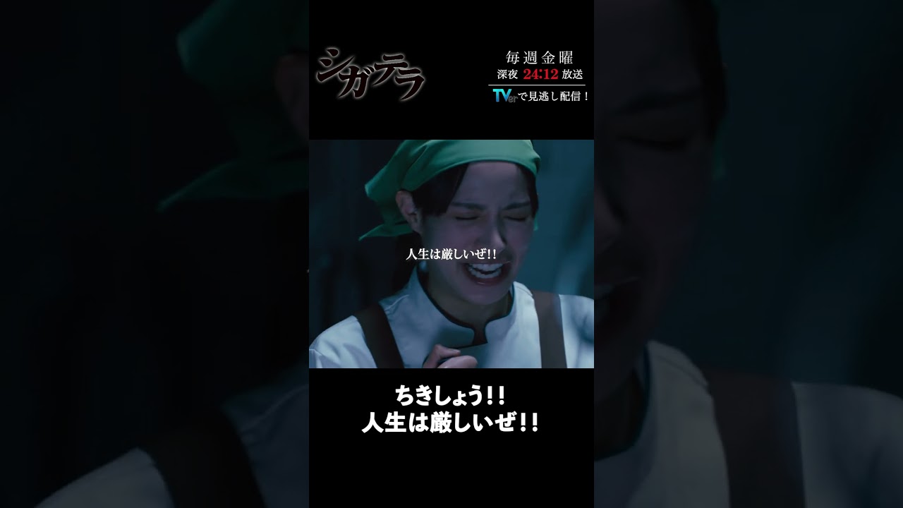「#シガテラ」【ちきしょう！！人生は厳しいぜ！！ver.】 テレビ東京系 毎週金曜24時12分から放送&TVerで配信中！#醍醐虎汰朗 #関水渚 #長谷川慎 #shorts