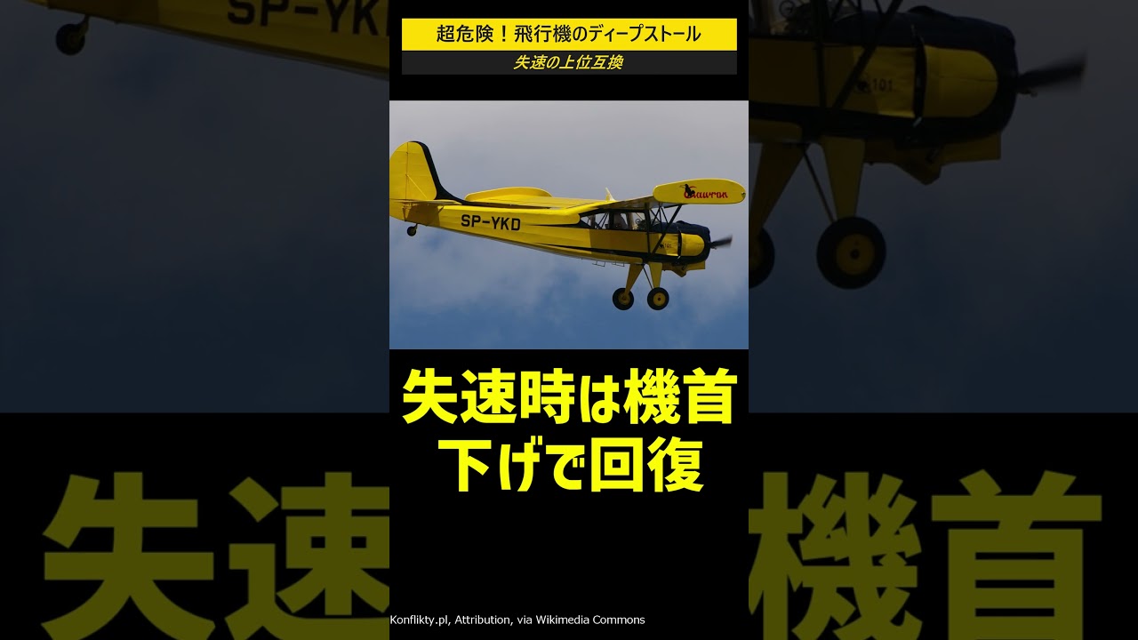 超危険！飛行機のディープストール #shorts