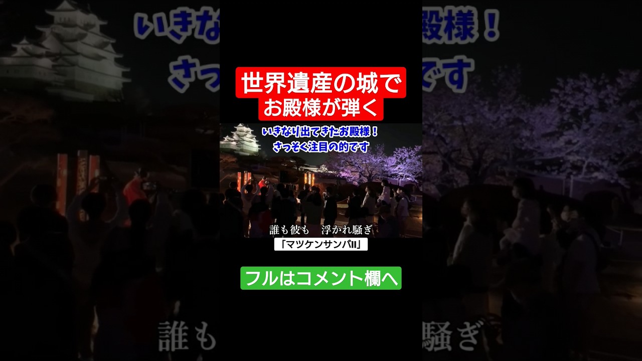 【ストリートピアノ】世界遺産の城でお殿様が弾く！？《切り抜き》『マツケンサンバⅡ』#shorts #ストリートピアノ #スミワタル