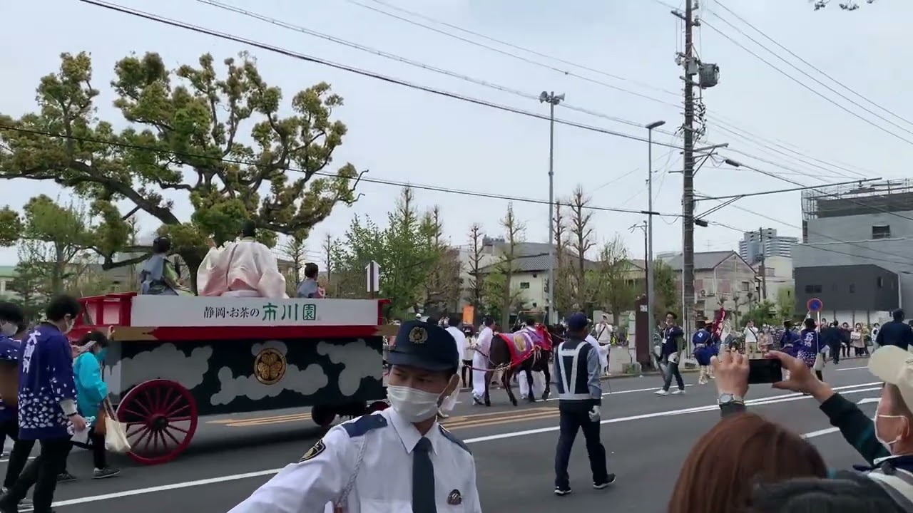 💖③🌹別所哲也様が🌹牛車で浅間神社を出発→駿府城公園へ🌹2023年4月3日(日曜)🌹島田市出身の別所哲也様🌹kinkakujitv　で検索　(金閣寺tv 🌹折り返し地点2023年4月6日