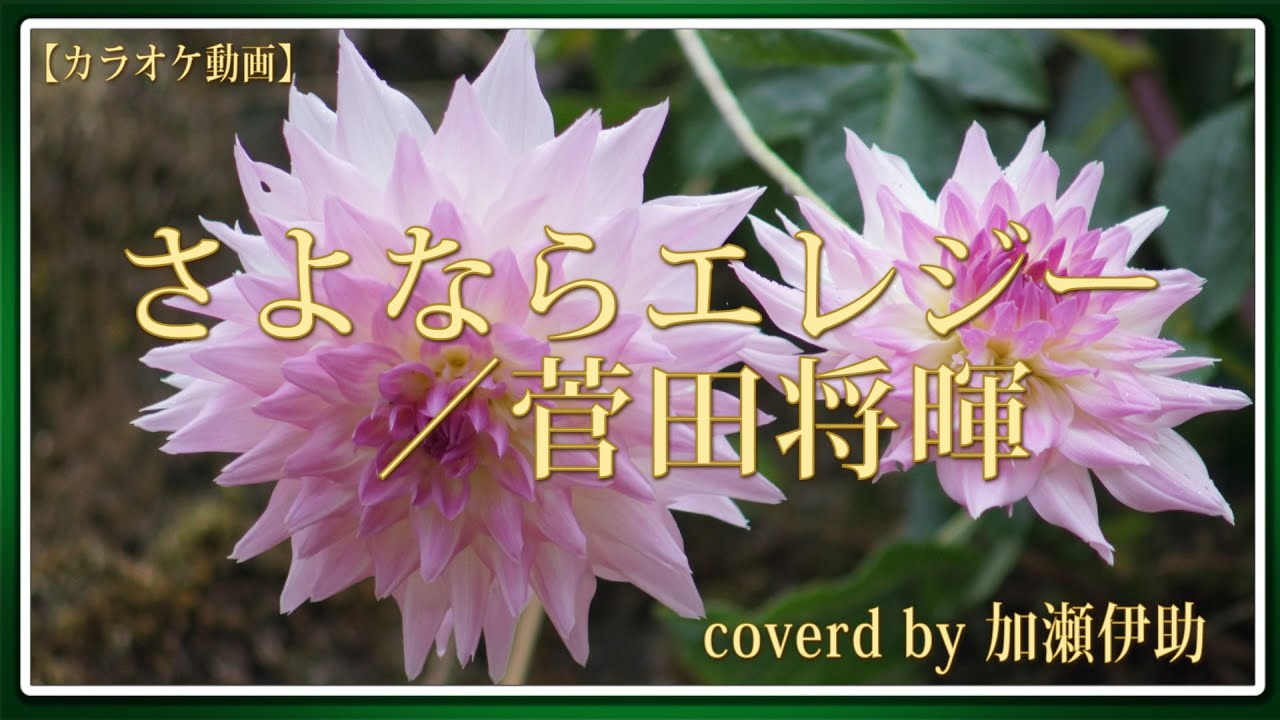 【カラオケ動画】さよならエレジー／菅田将暉 coverd by 加瀬伊助