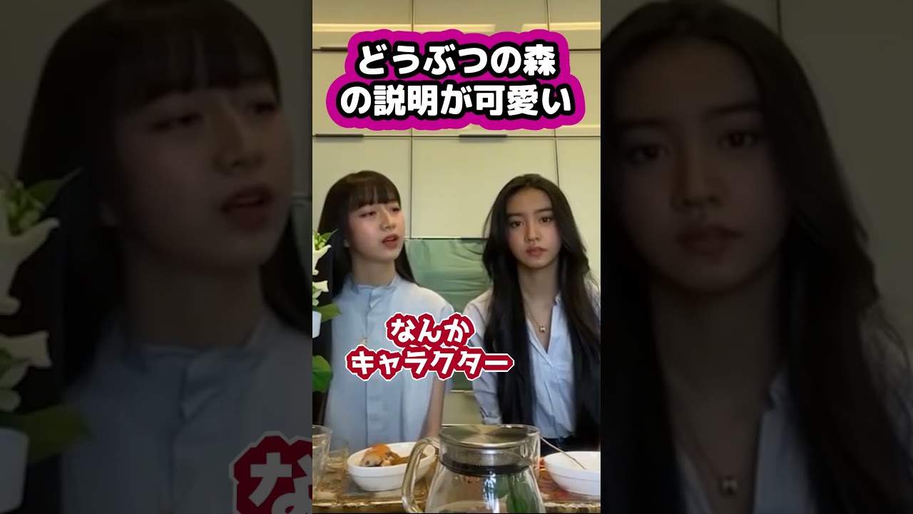 【キムタク娘】どうつぶの森の説明がかわいい #cocomi #koki #キムタク #娘 #工藤静香 #Shorts