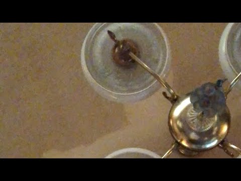 【6月21日ラジオ体操674日目】そろそろ巣立ちなつばめちゃんたち