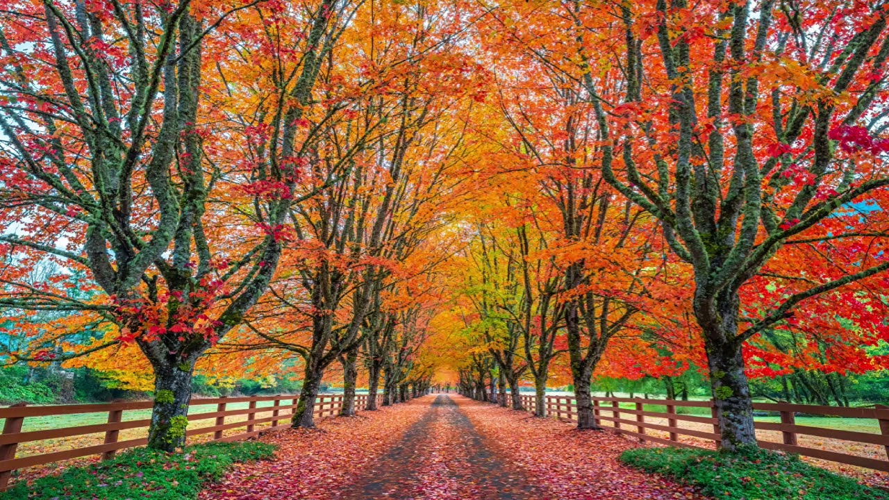 さよならの向こうに‐松下洸平‐