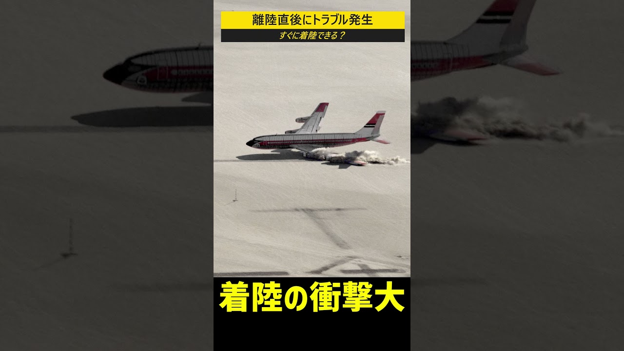 離陸直後にトラブル発生！すぐ着陸できる？#shorts