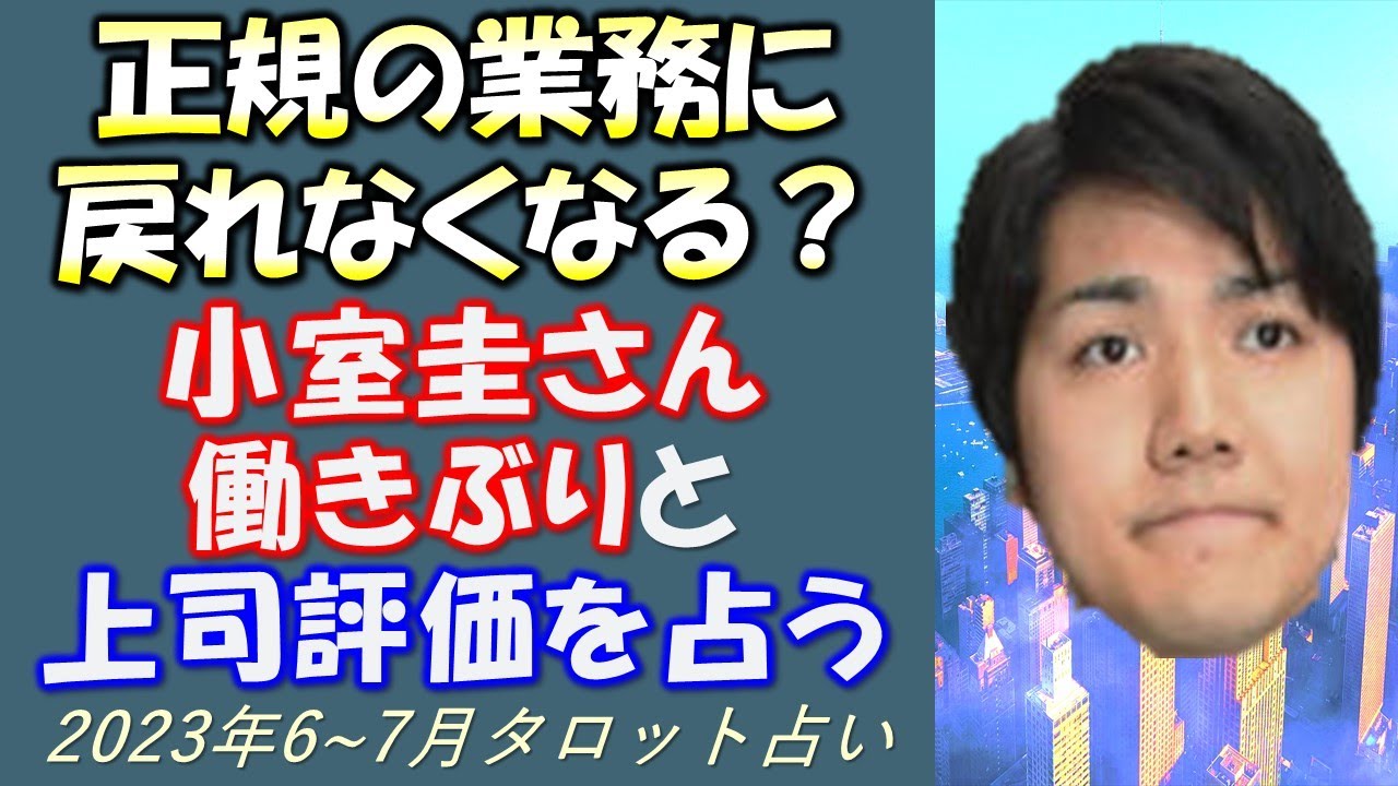 無人エリアでKK向け特殊業務❓小室圭さん・新チーム仕事運と先輩上司の評価、新業務を占う【タロット占い】