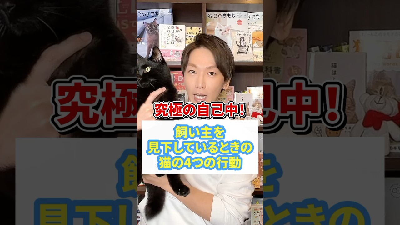 究極の自己中！飼い主を見下している時の猫の行動4つ