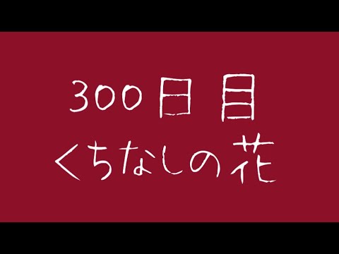 300日目  くちなしの花／藤圭子