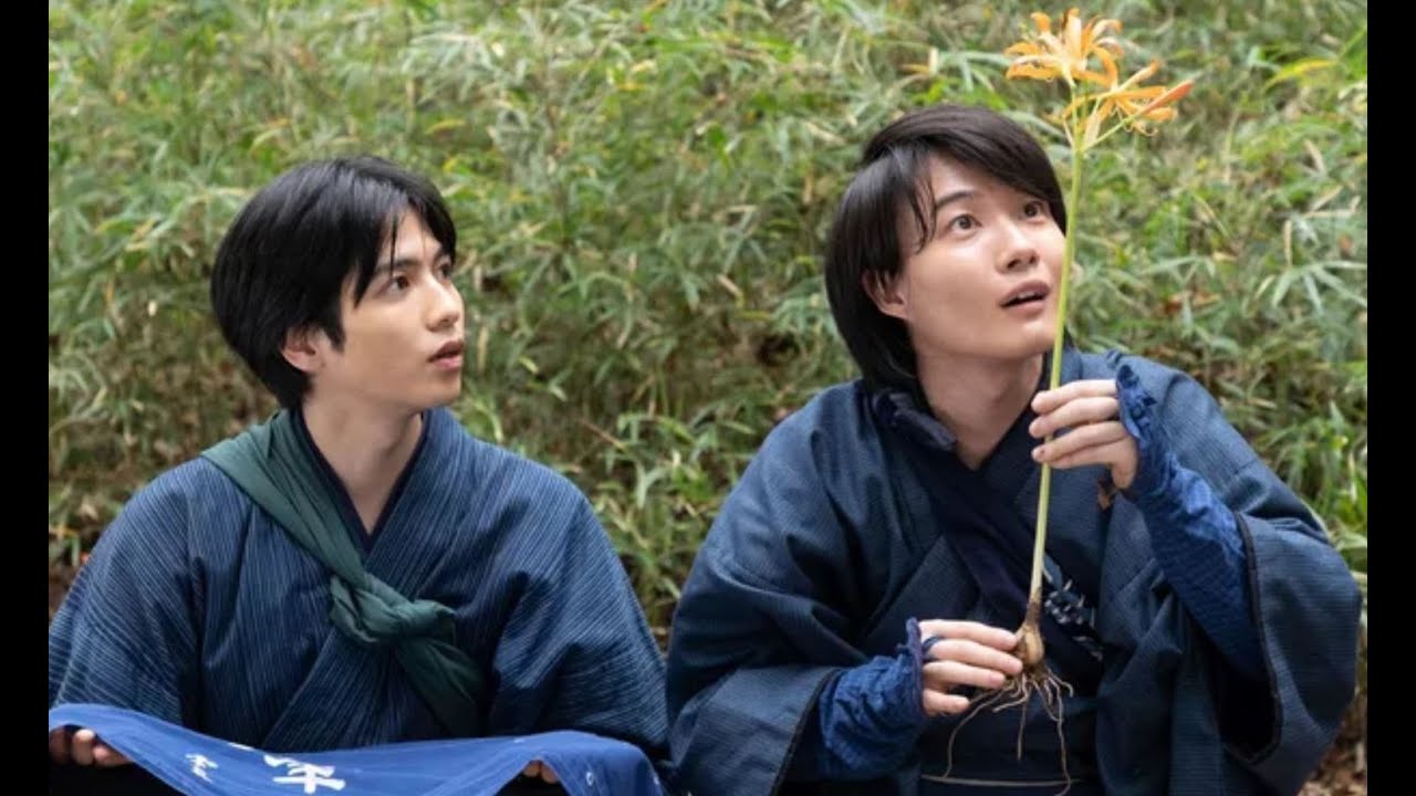 朝ドラ「らんまん」第60回予告 万太郎の標本が新種認定... 志尊淳（竹雄）が神木隆之介（万太郎）に…浜辺美波（寿恵子）は南総里見八犬伝を…NHK連続テレビ小