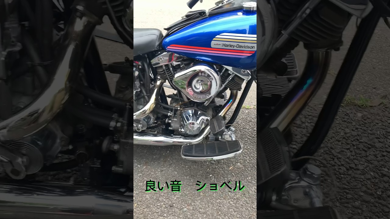 81年　オープンFLH ショベル　#shorts  #ショベルヘッド  #flh