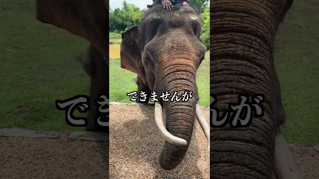 【V6岡田准一と女優宮崎あおいも宿泊したThe Beige⁈】#ショート動画