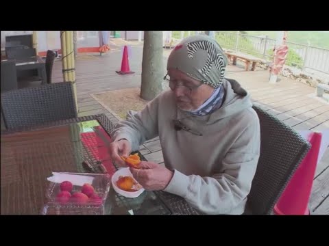 Journey of the heart across japan #1165 (2023)