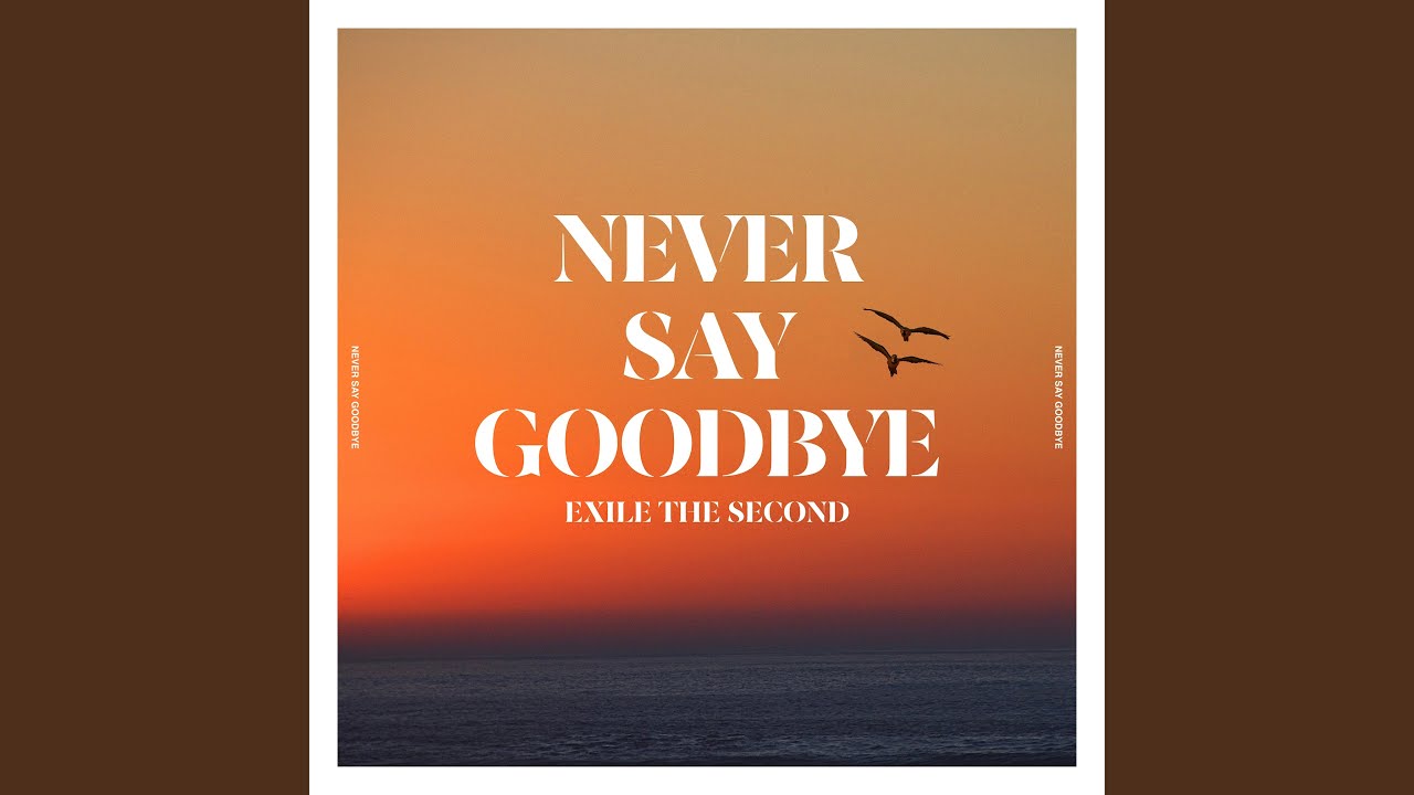 NEVER SAY GOODBYE