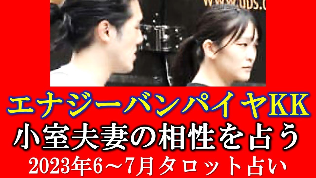 期待⇒ガッカリ❓意固地保身KKに生気吸い取られ❓小室眞子さん・圭さん夫妻の相性を占う【タロット占い】