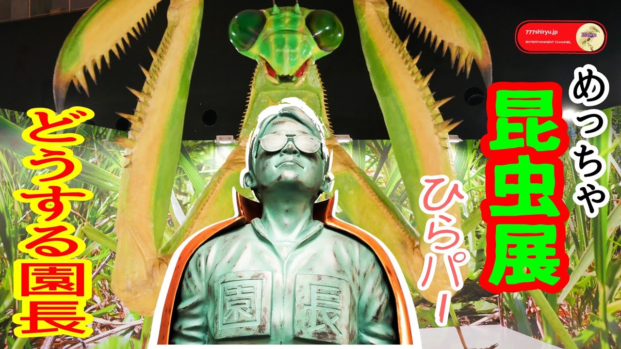 【どうする家康】ひらパー岡田信長園長のひっそりと立つどうする許諾銅像＆めっちゃ昆虫展最終日🐛🐝🦋🪲🪳もっと早く来て紹介したかった充実展覧会 #岡田准一 insect exhibition