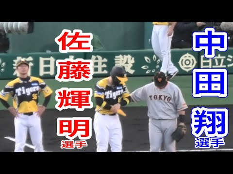【2個の死球に謝罪】中田翔選手が佐藤輝明選手を気遣う！佐藤輝明&大山悠輔両選手で3死球…