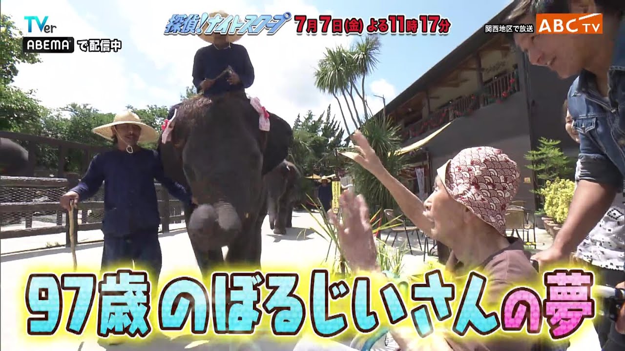 「探偵！ナイトスクープ」7月7日（金）深夜放送