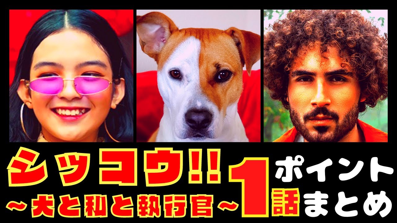 【シッコウ!!〜犬と私と執行官〜１話】新しいお仕事ドラマ開幕!!【ポイントまとめ】