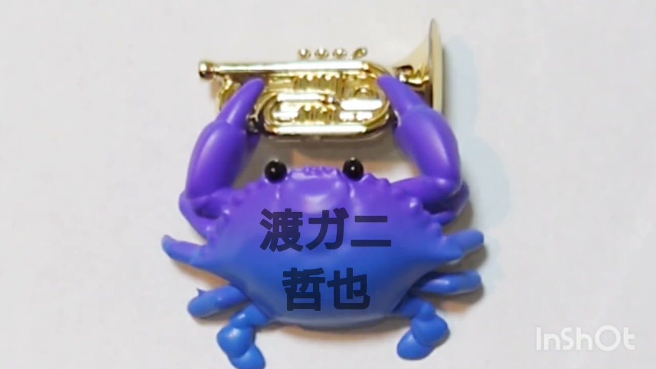 😶渡哲也『くちなしの花』😶