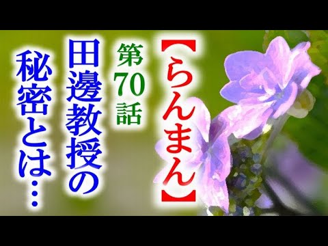 【らんまん】朝ドラ 第70話 田邊教授は戸隠草の秘密があるようだが…連続テレビ小説第69話感想