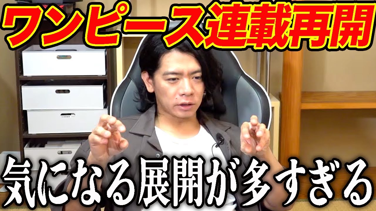 【野田栄一郎】いよいよ来週から連載再開のワンピース!!!!面白過ぎる!!!!!!!!!!!【マヂラブ野田クリスタル】