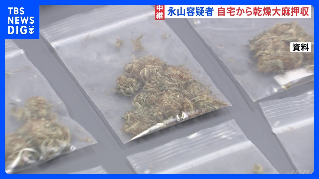 永山絢斗容疑者　「乾燥大麻」押収と判明　認否は明らかにせず　大麻関連の事件は若者で増加傾向【記者解説】｜TBS NEWS DIG