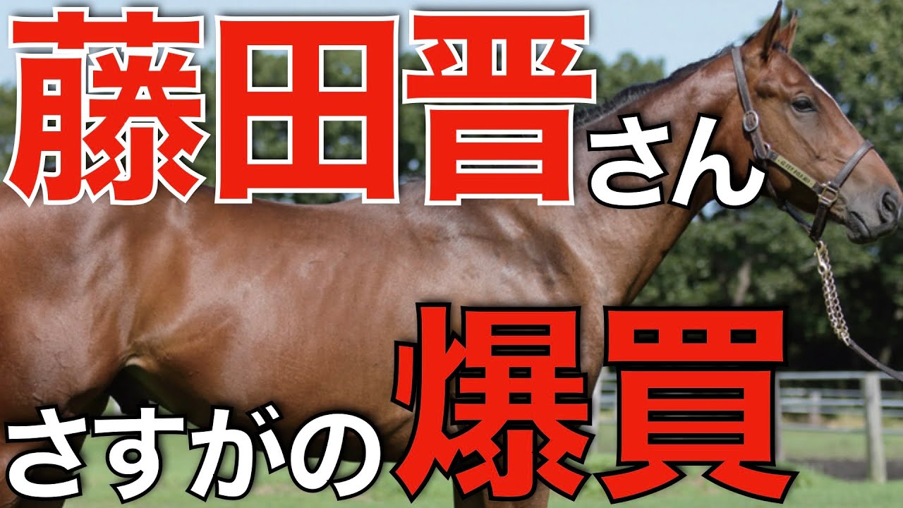 【ウマ娘へ】今年の藤田晋さんは26億買い！ただ気になる新馬主さんも出てきた。