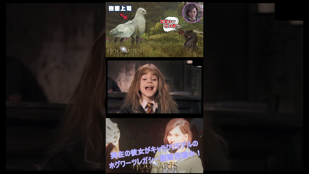 【ホグワーツレガシー/HogwartsLegacy】もしも藤原竜也と市原隼人がロンとハーマイオニーの声優をやっていたら #shorts