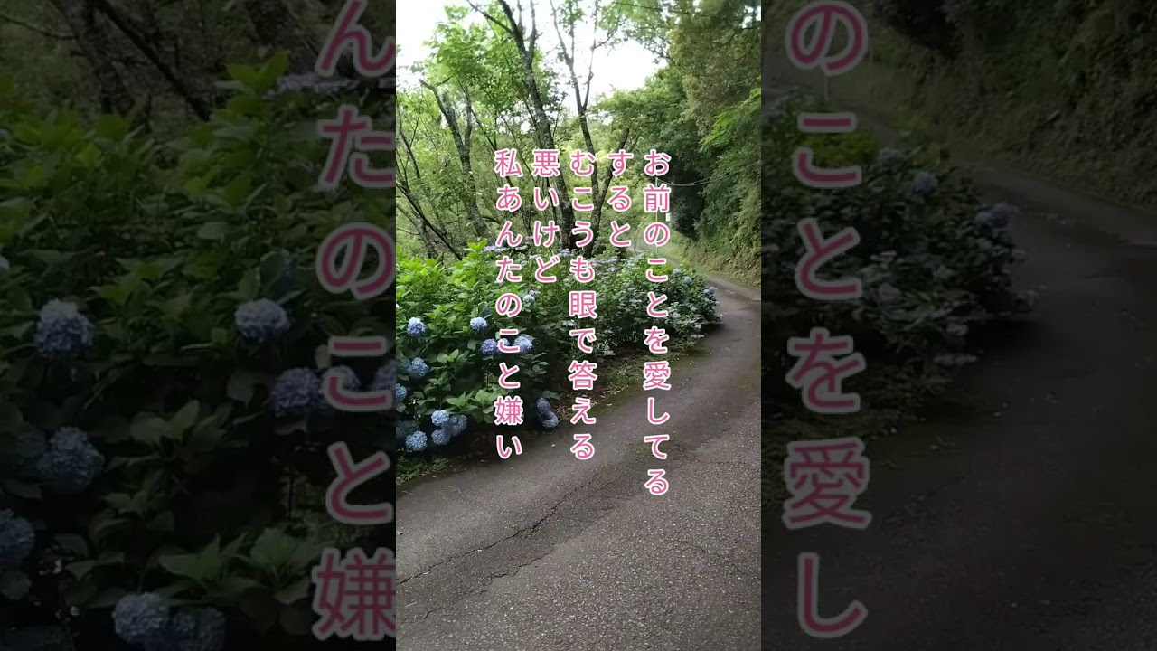 寅さんのことば4 ＃shorts  #名言 #格言 #inspiration