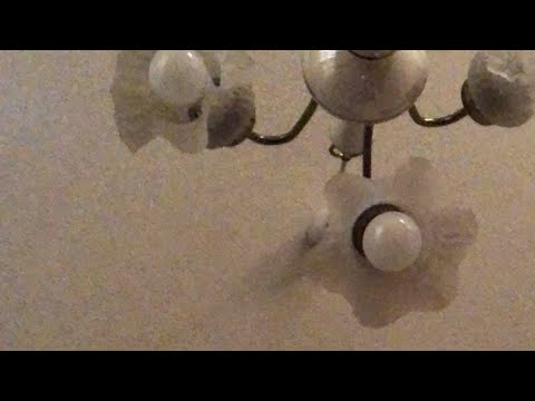 【7月23日ラジオ体操706日目】本日日本橋ポルックスシアターにて『最近、よく死んでます』上映、第七藝術劇場にて『大阪カジノ』上映！