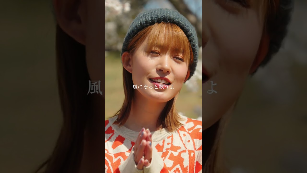 【桜メドレー】福山雅治さんの『桜坂』を桜の木下で歌ってみた🌸