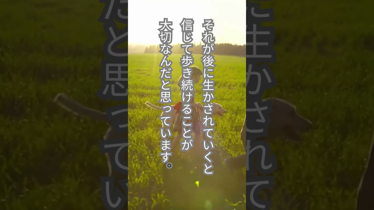 #内村光良 #名言集 #格言集 #collections #shorts