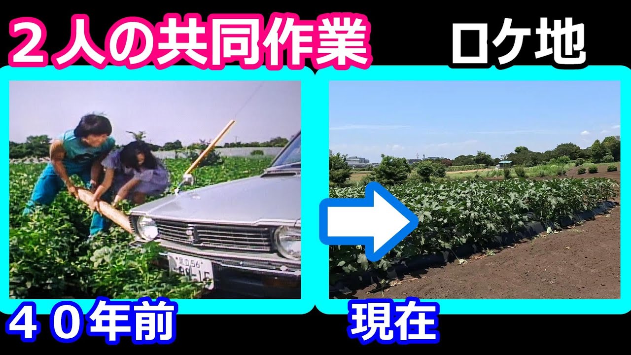 【ふぞろいの林檎たち】【手塚里美】【時任三郎】【横浜町田インター】【山下公園】