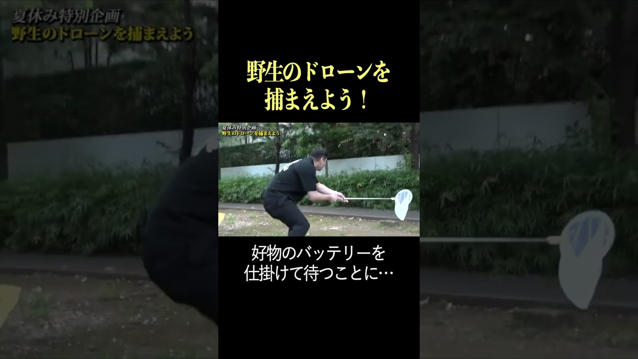 【夏休み特別企画】野生のドローンを捕まえよう【short】