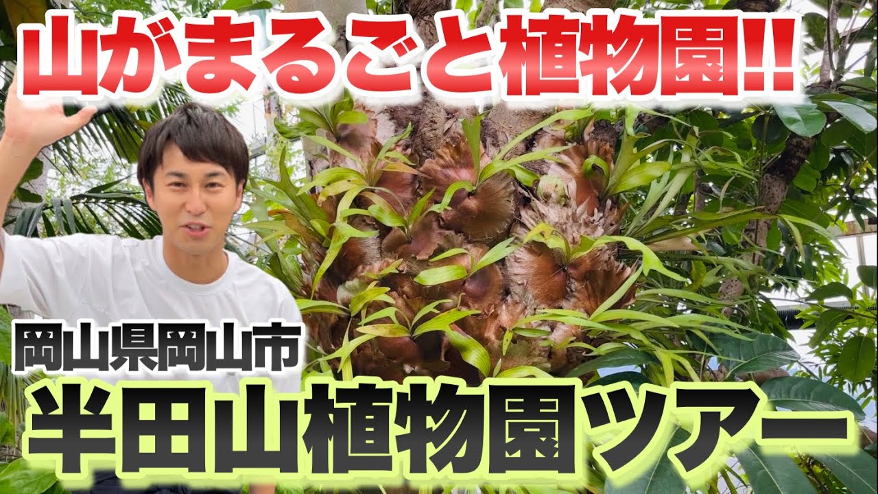 【ガーデンツアー】岡山県岡山市の半田山植物園に行ってきました！【ガーデニング】【園芸】