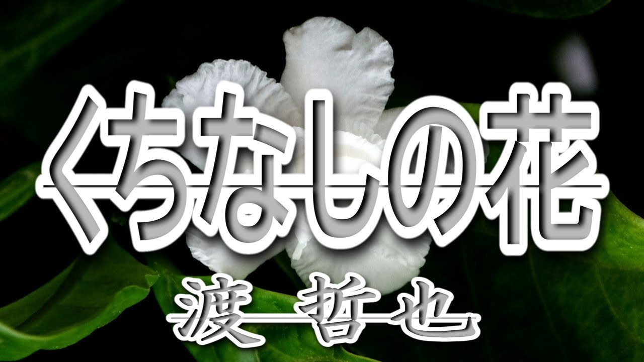 くちなしの花/渡 哲也