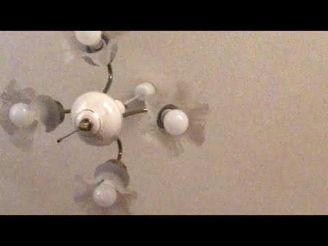 【7月27日ラジオ体操710日目】1日が一年だったら平安京ですだね！！