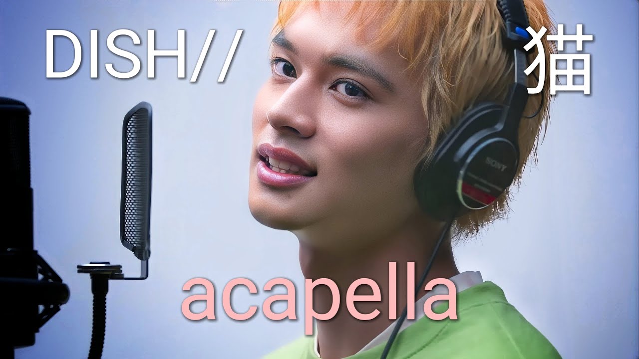 DISH// (北村匠海) - 猫  [acapella] #dish #猫 #vocals #music #shorts #acapella #アカペラ