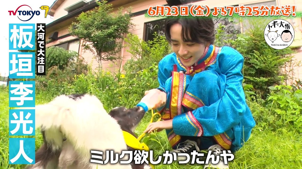 ヤギが主役の旅番組がまさかのレギュラー化！千鳥大悟がヤギと雑草モグモグ旅。