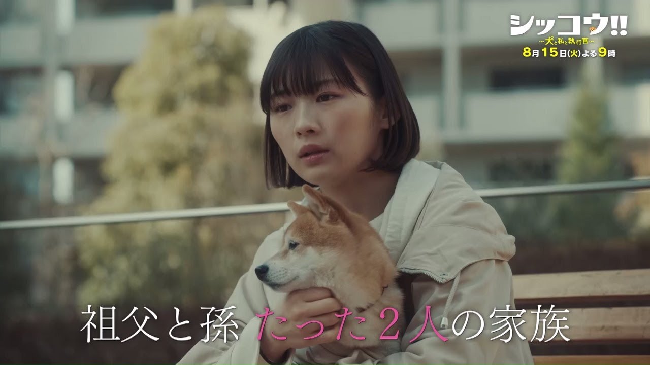 『シッコウ!!～犬と私と執行官～』8月15日（火）よる9：00～／第6話　予告動画（30秒）