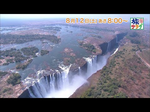 お取り寄せグルメ特集！ロコレコは大友花恋！「旅サラダ」8月12日（土）放送