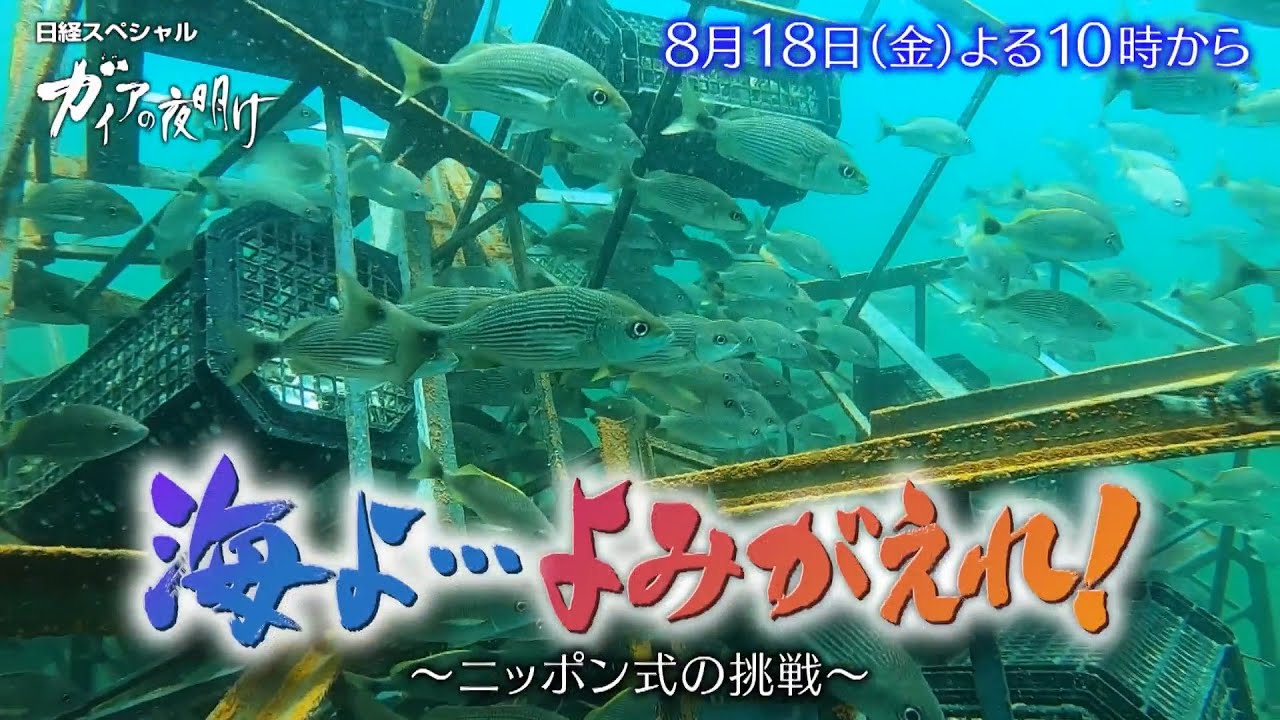 ガイアの夜明け【海よ…よみがえれ！～ニッポン式の挑戦～】予告