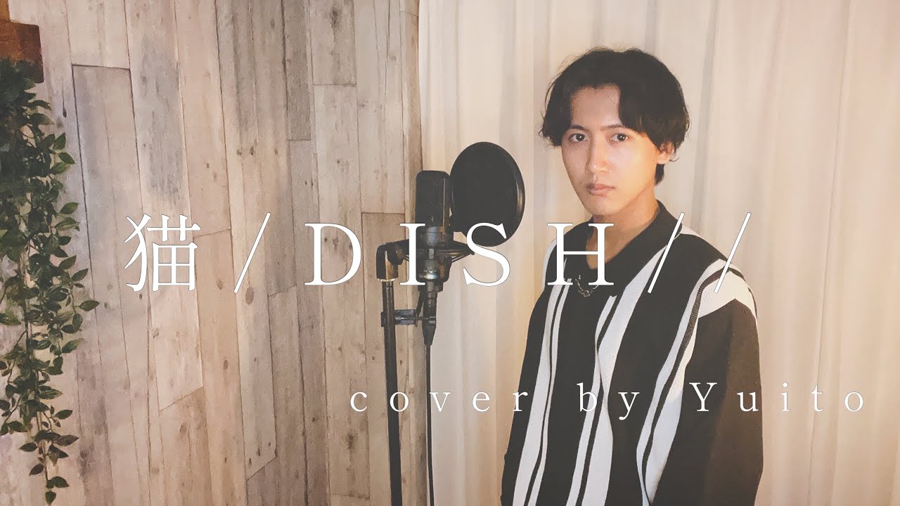 猫/DISH// 歌ってみた【cover by Yuito】