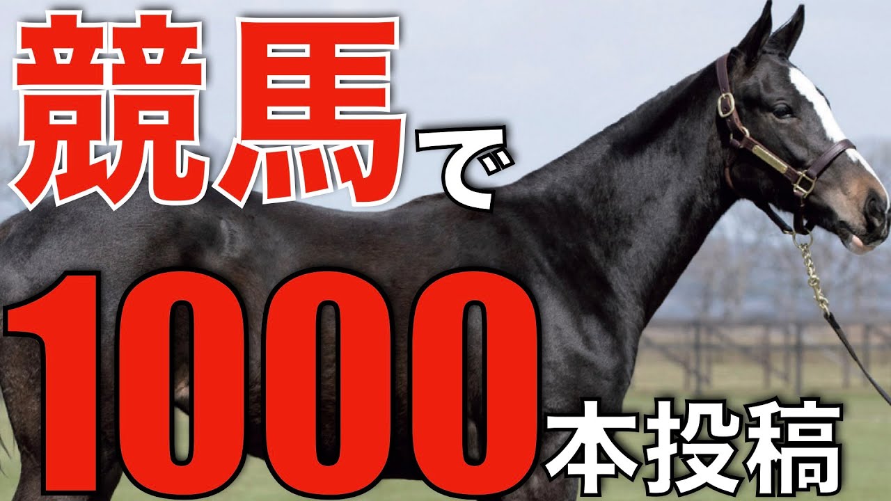 【無限の可能性】競馬大好き男が動画1000本投稿した結果！やはりYoutubeには夢がある。