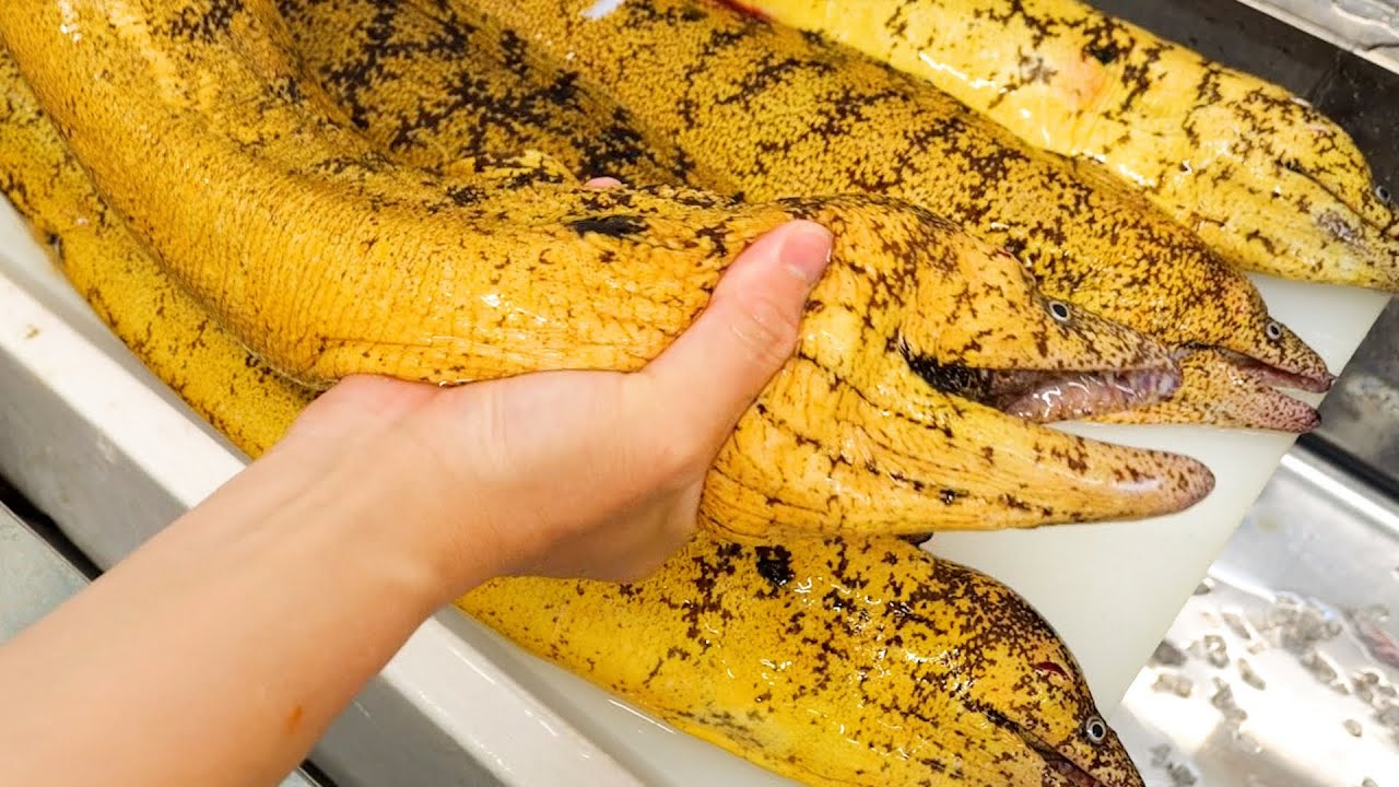 大量のウツボを・・・。