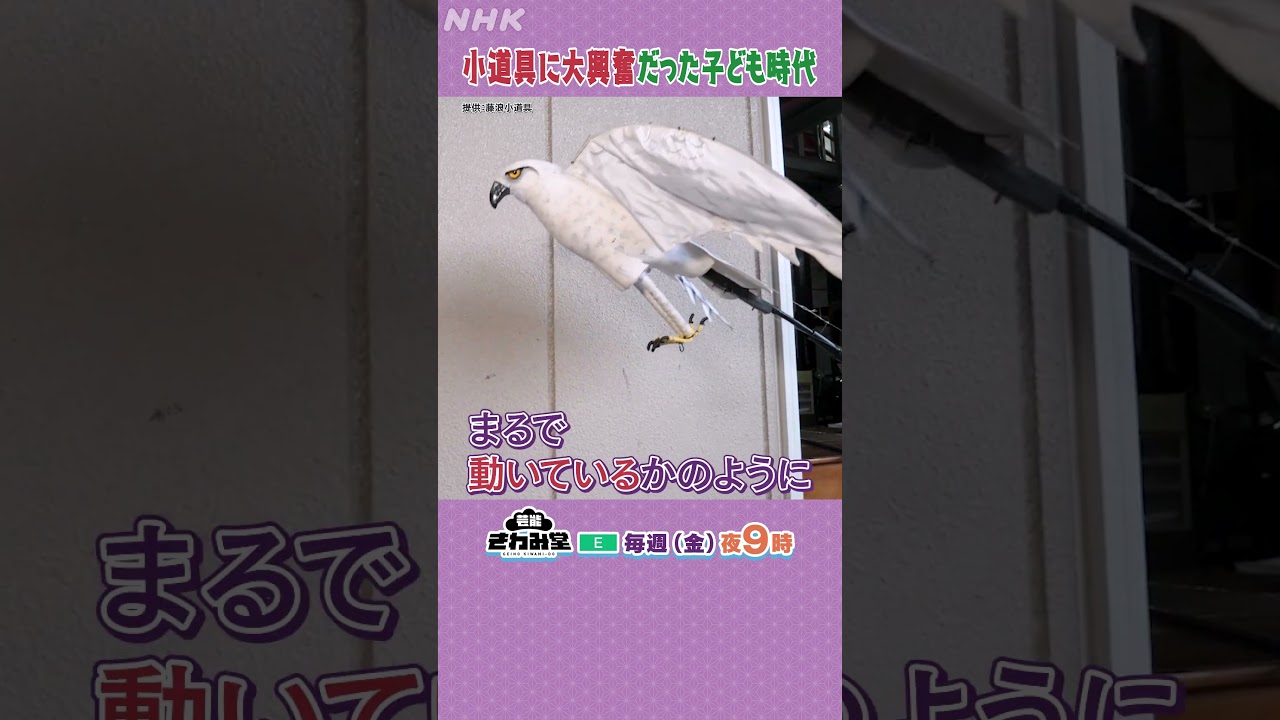 【尾上松也】が歌舞伎の魅力を語る！「歌舞伎に出てくる動物たち！」| 芸能きわみ堂 | NHK | #shorts