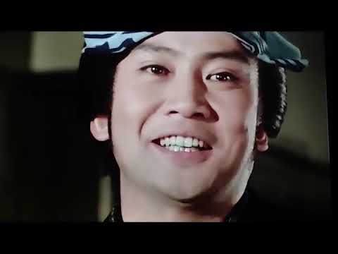 大江戸捜査網　里見浩太朗ﾊﾞｰｼﾞｮﾝ2  第8話　　悲恋黒絵馬の女　ｵｰﾙﾒﾝﾊﾞｰ勢揃い　古今亭志ん駒、小園蓉子、伊達三郎、河村弘二、二本柳俊衣、✔️📀📽️時代劇スペシャル 2023