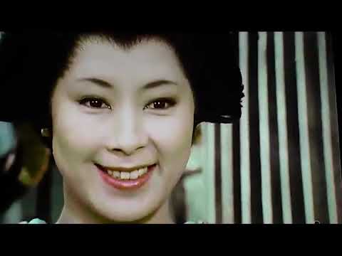 大江戸捜査網　里見浩太朗ﾊﾞｰｼﾞｮﾝ２最終回　第17話　隠密同心・胡蝶炎の彼方に❗ 2 ✔️📀📽️時代劇スペシャル 2023