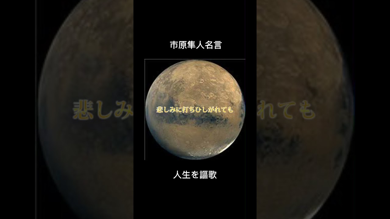 【人生を謳歌してください】市原隼人名言 #名言 #モチベーション